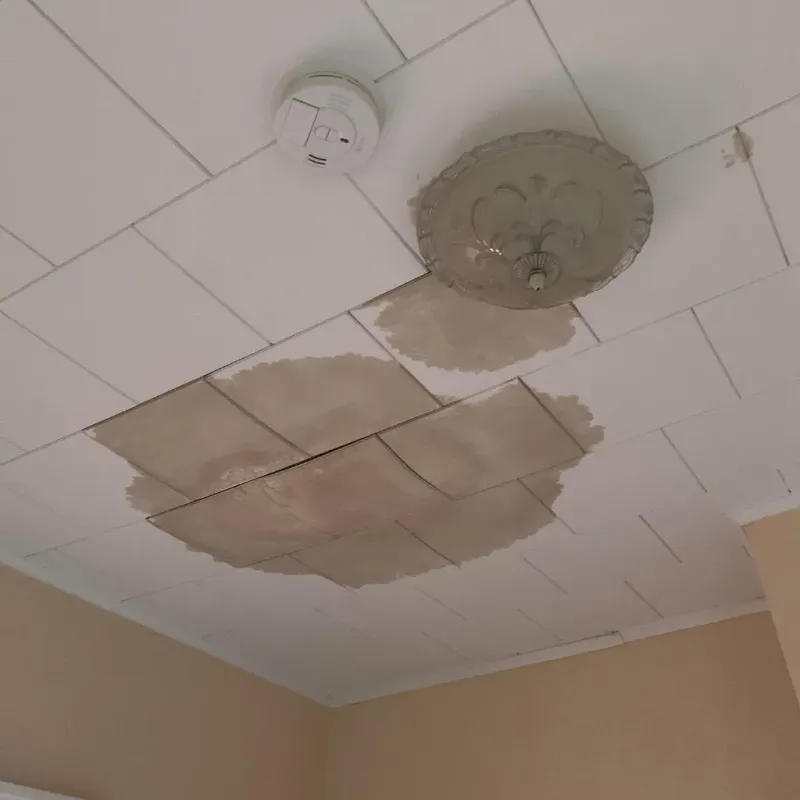 Ceiling Water Damage Repair in Burke County, NC