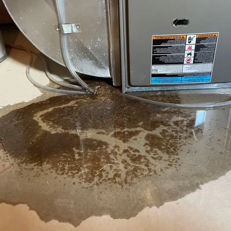Pipe Burst and Leak Restoration in Burke County, NC